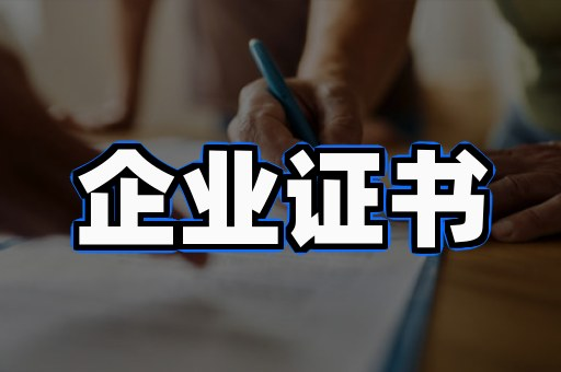 企业营业执照仿真定制案例